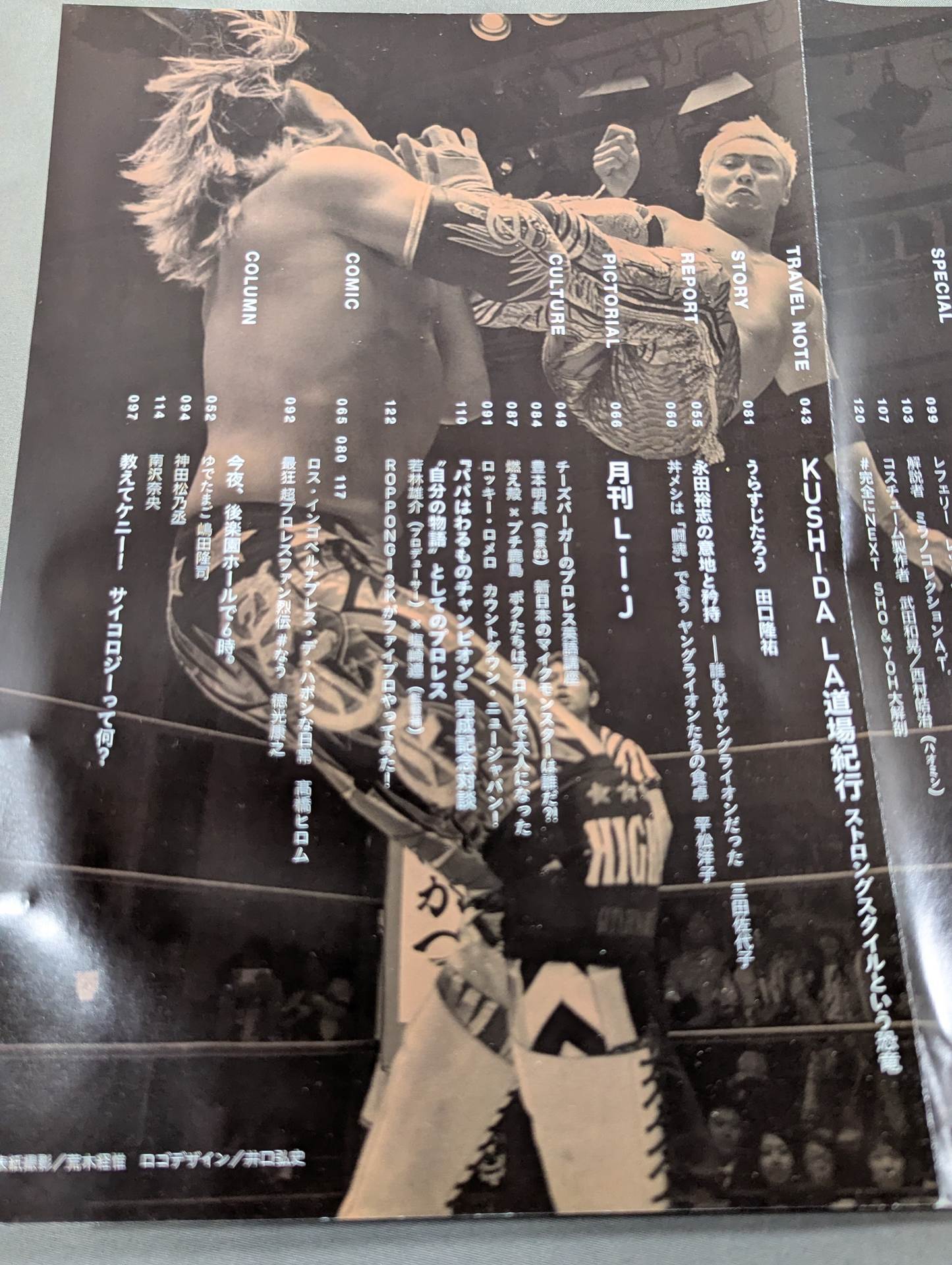 "New Japan Pro Wrestling  World" Official Book NEW WORLD vol.2