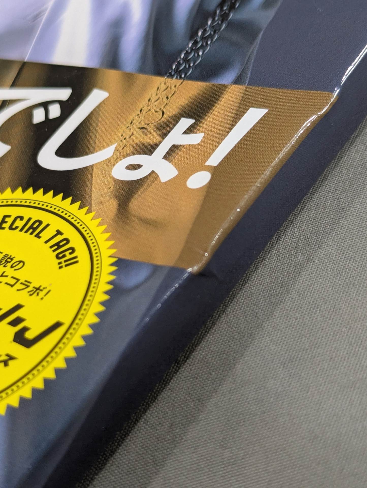 "New Japan Pro Wrestling  World" Official Book NEW WORLD vol.2