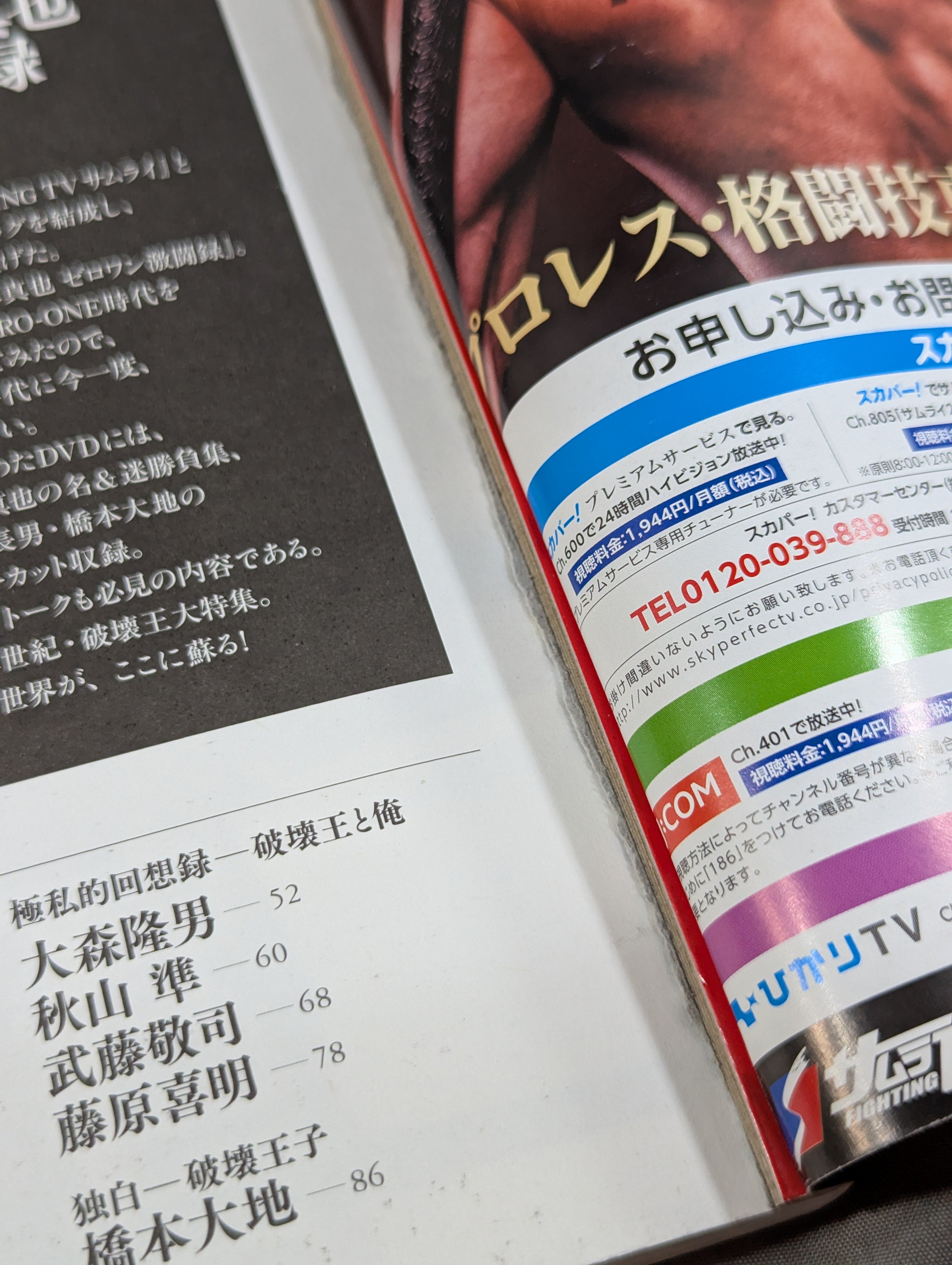 破壊王”橋本真也 ゼロワン激闘録 – 闘道館