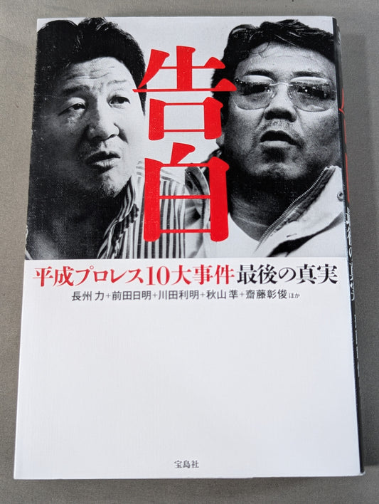 Confession Heisei Pro Wrestling  10 Major Incidents The Last Truth
