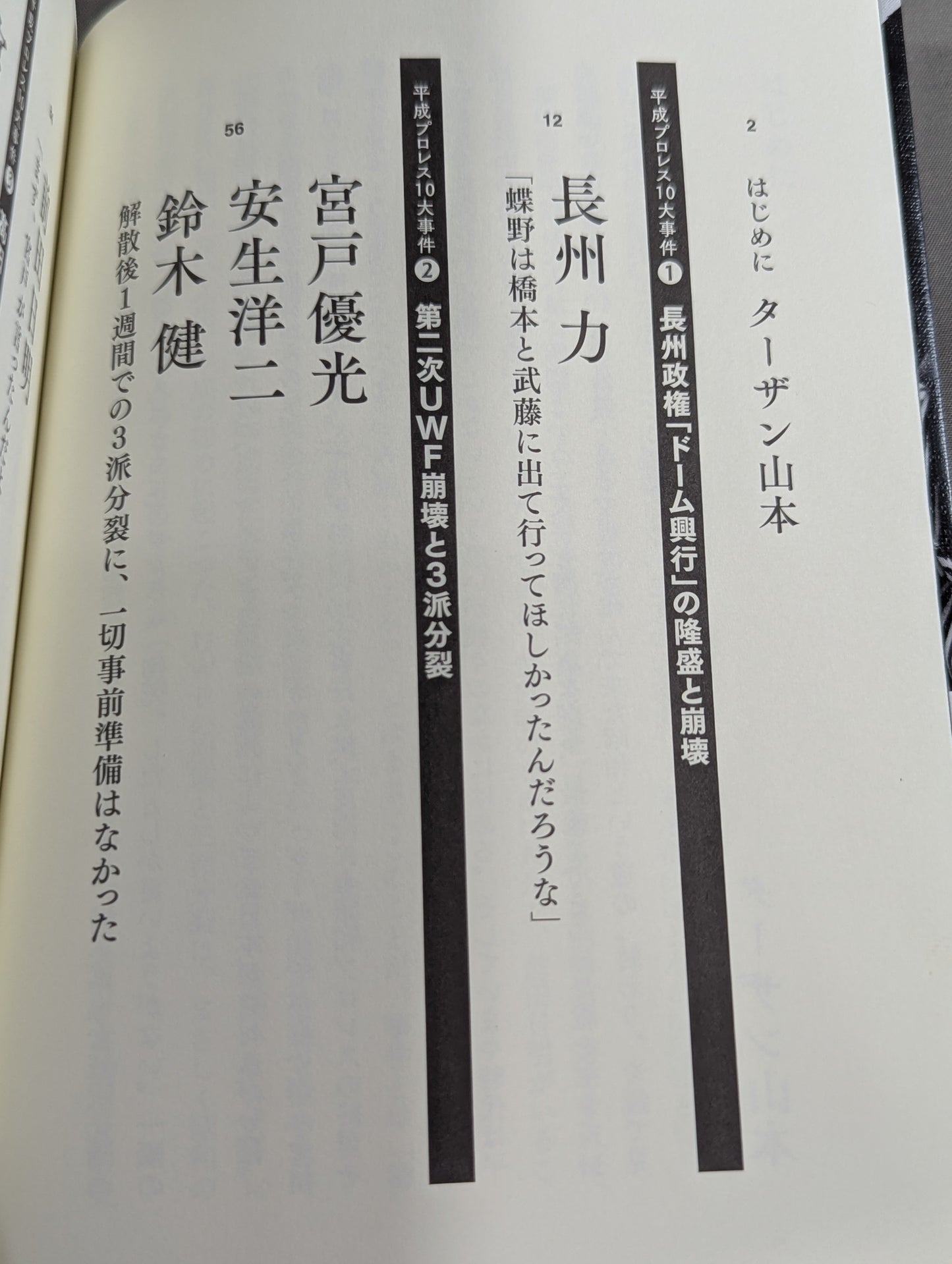告白 平成プロレス10大事件 最後の真実