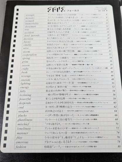 プロレス フォーカス FOCUS