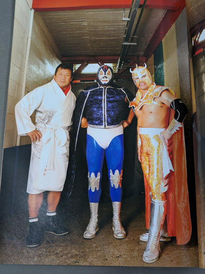 FOTOLIBRE de Mascara Numero.17