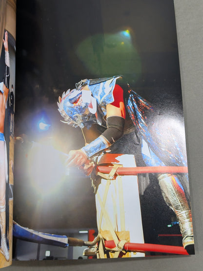 FOTOLIBRE de Mascara Numero.17