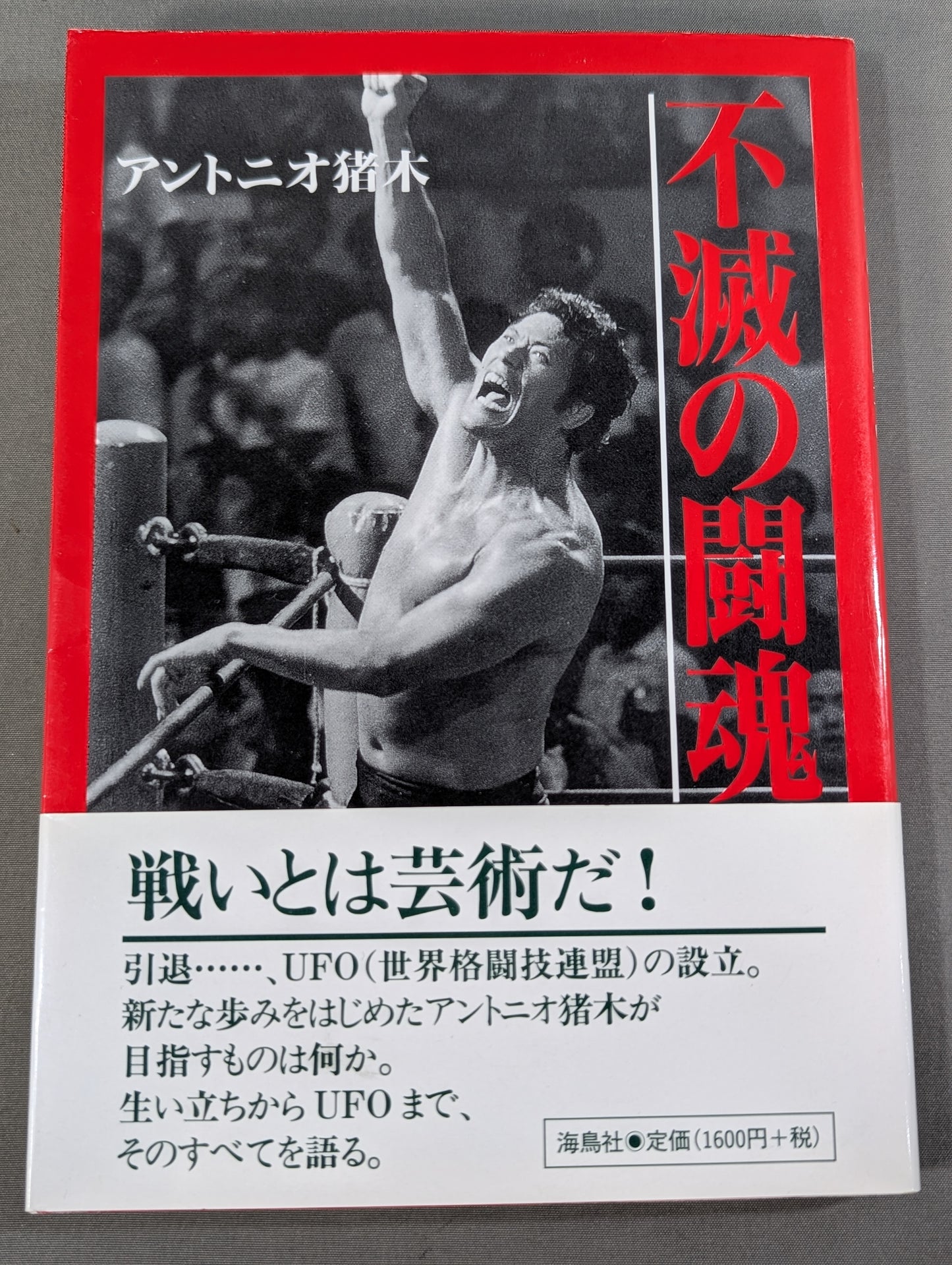Immortal Fighting Spirit
