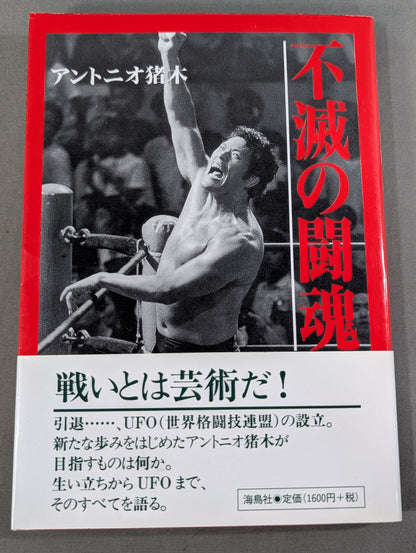 Immortal Fighting Spirit