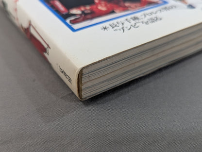 女子プロレス主義! 闘う美神たちが激突する