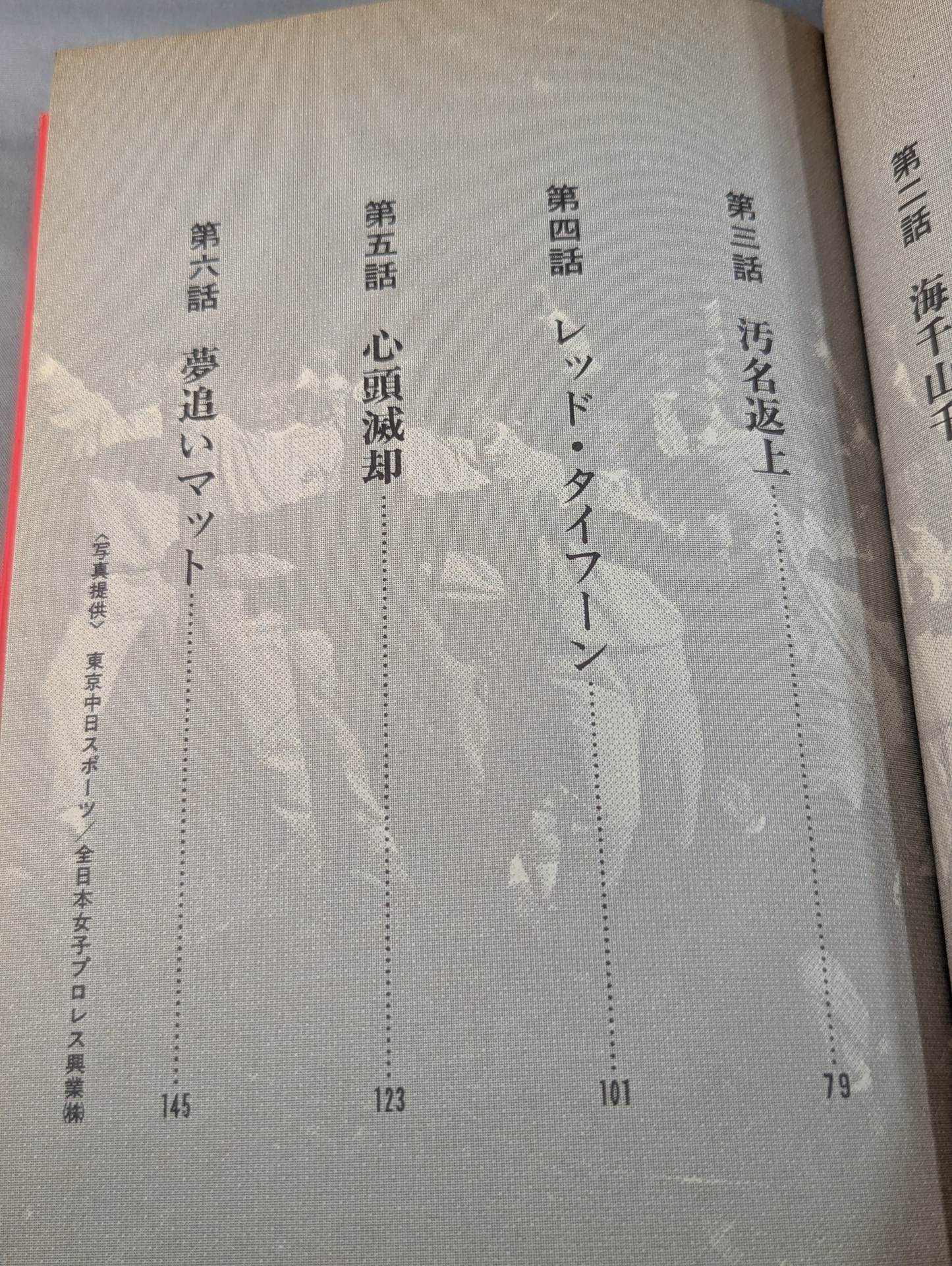 【全2冊セット】女子プロレス物語(ストーリー)Ⅰ・Ⅱ (新)リングの華戦士