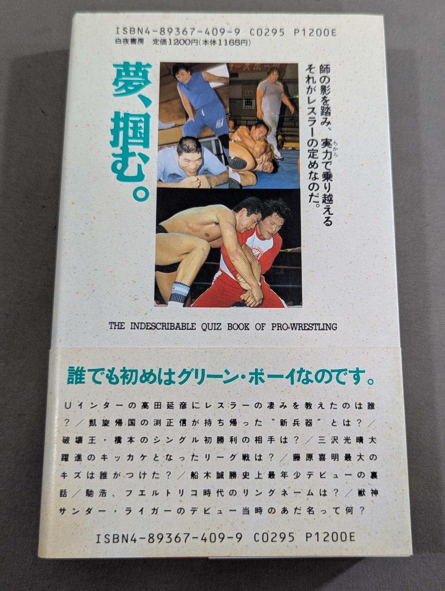 続 おそろしいほどプロレスがわかる本