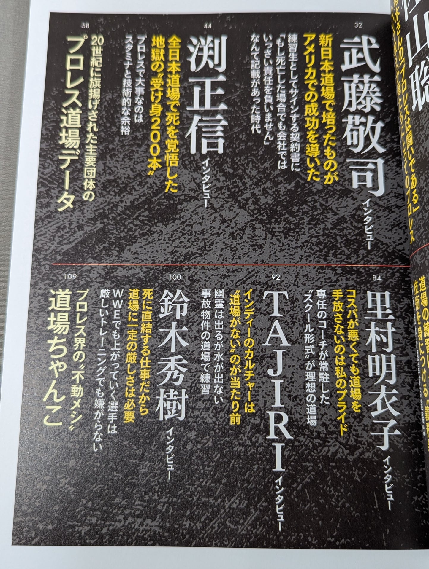 シリーズ 逆説のプロレス Vol.25  昭和 平成 令和「完全検証 プロレス道場 幻想」
