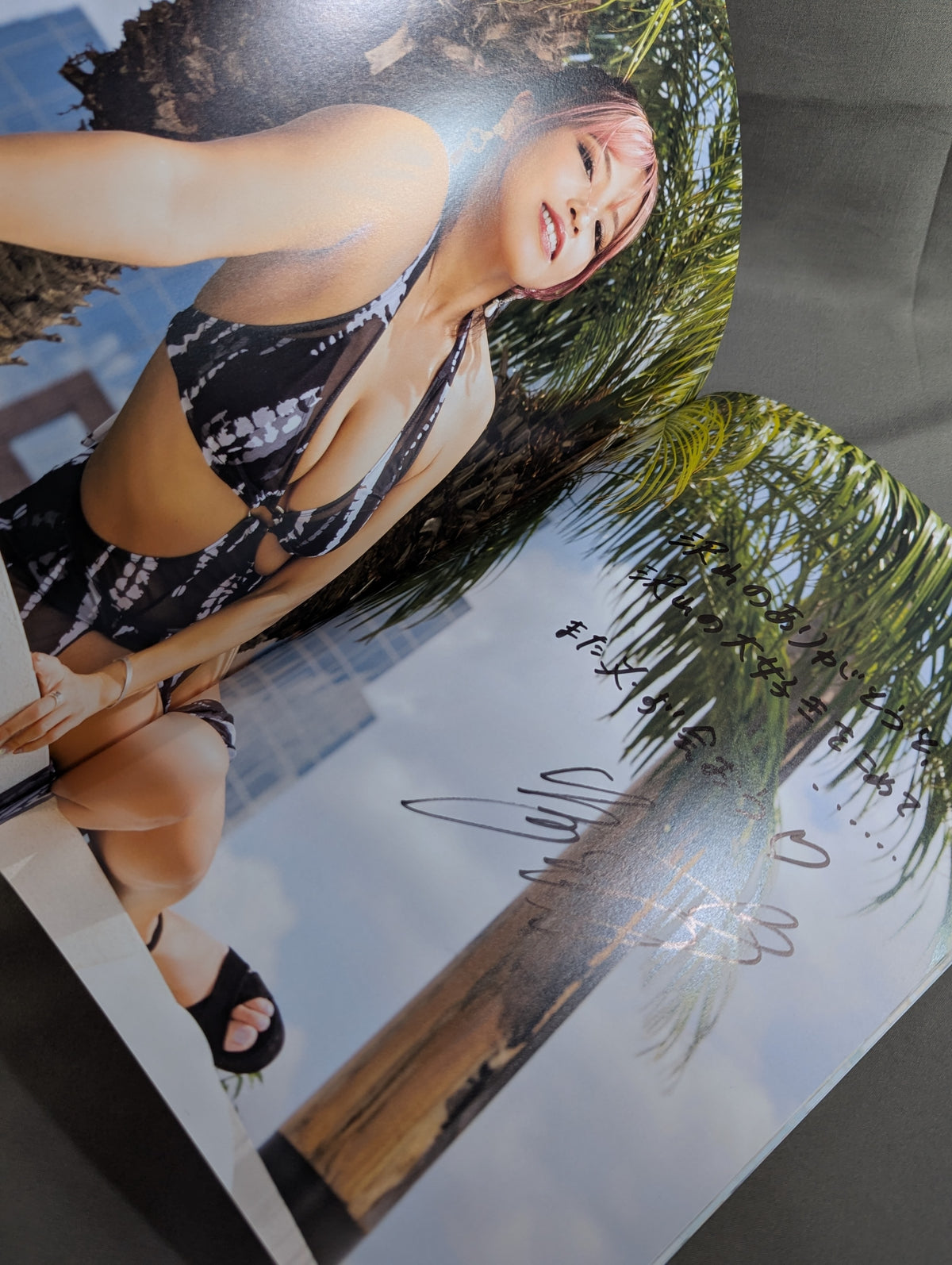 【直筆サイン入り】白川未奈 写真集 We Want MINA (Premium ver.)