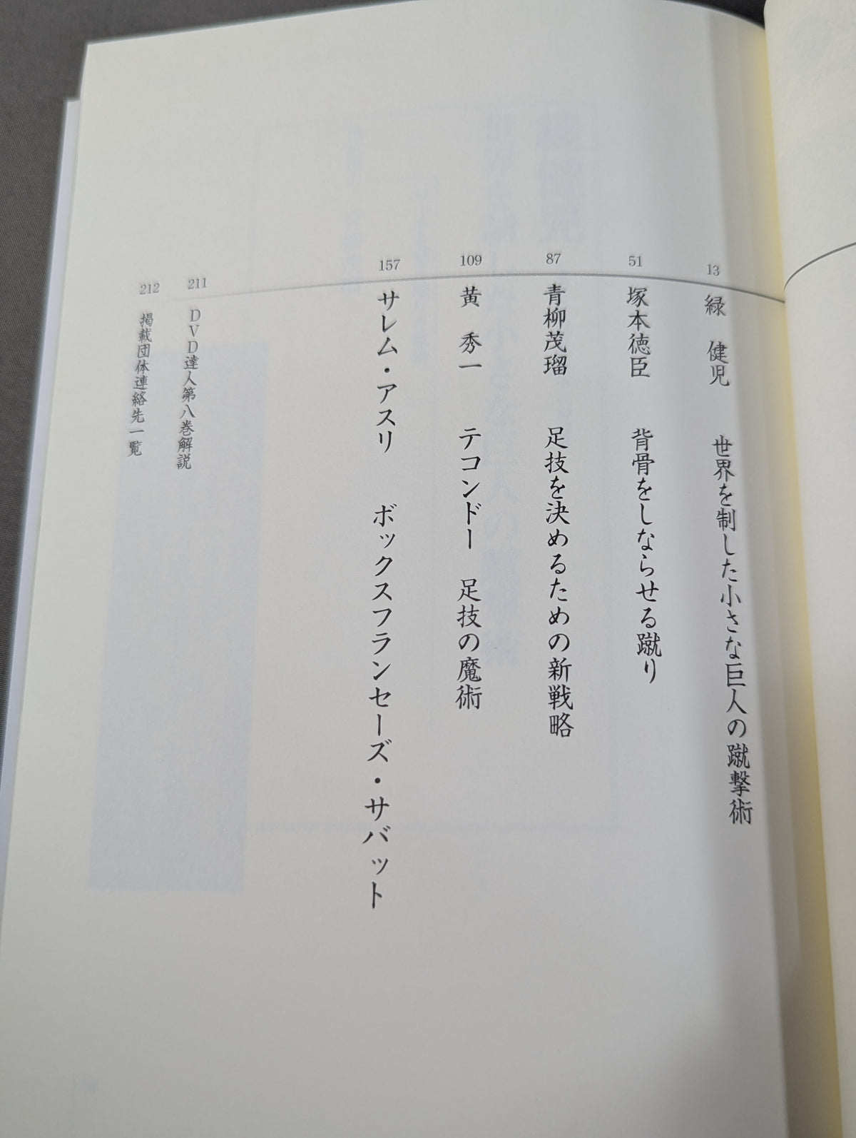 達人シリーズ第八巻 もっと強くなれる 究極ハイキック修得術