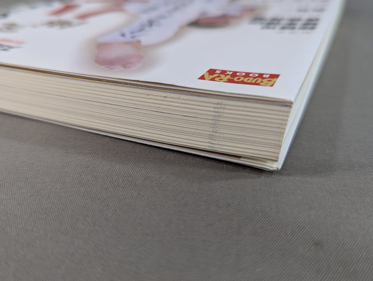 達人シリーズ第八巻 もっと強くなれる 究極ハイキック修得術