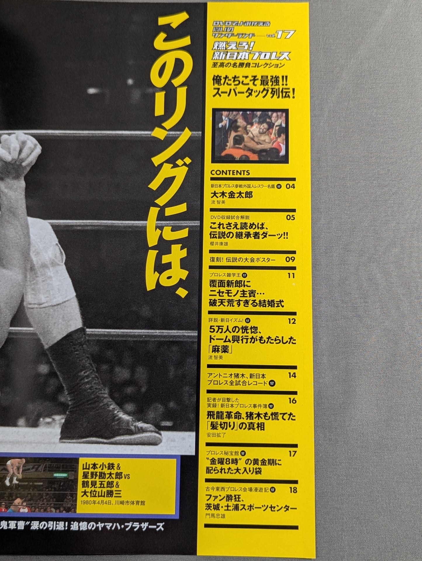 燃えろ!新日本プロレス vol.17