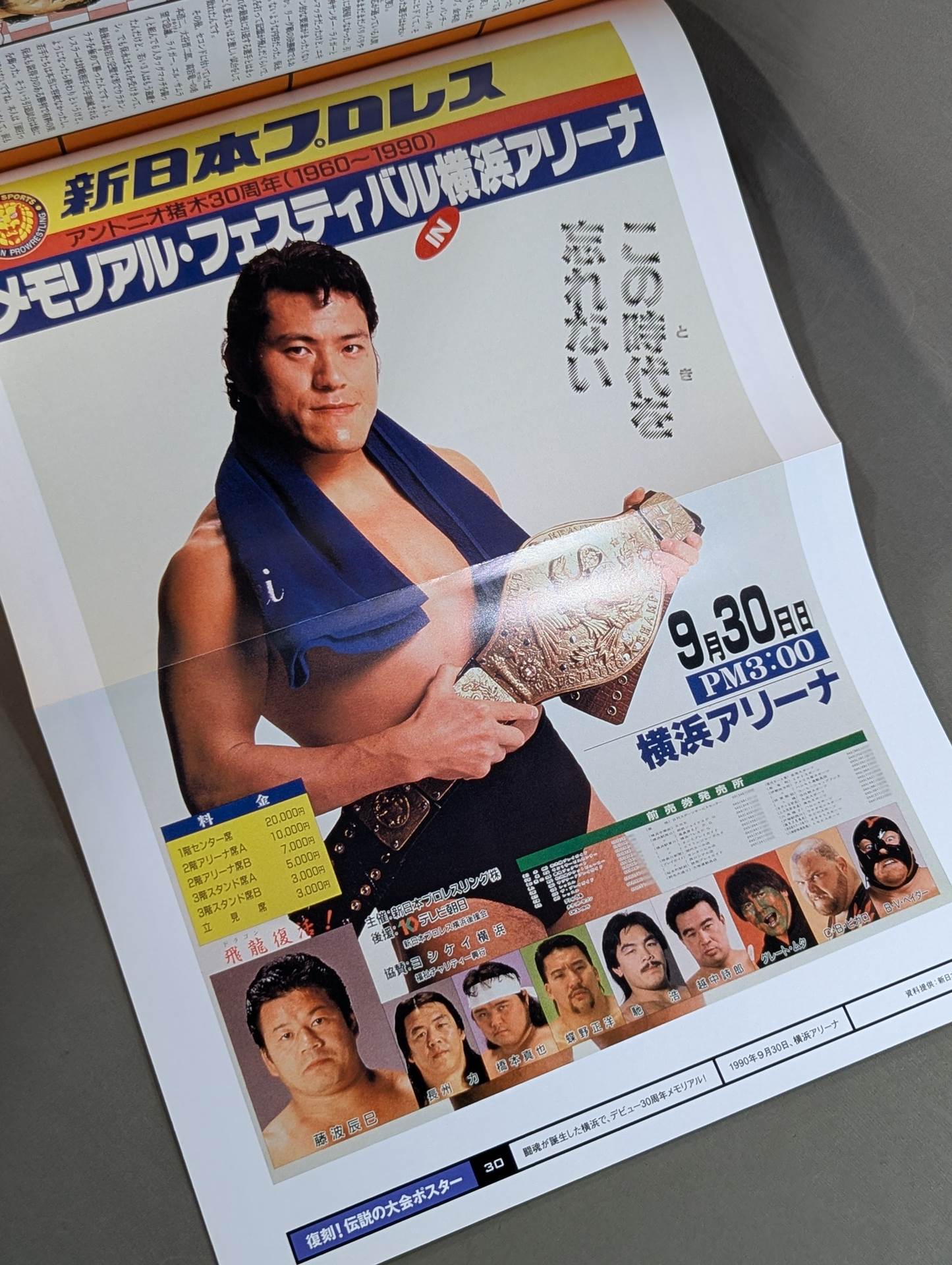 燃えろ!新日本プロレス vol.30