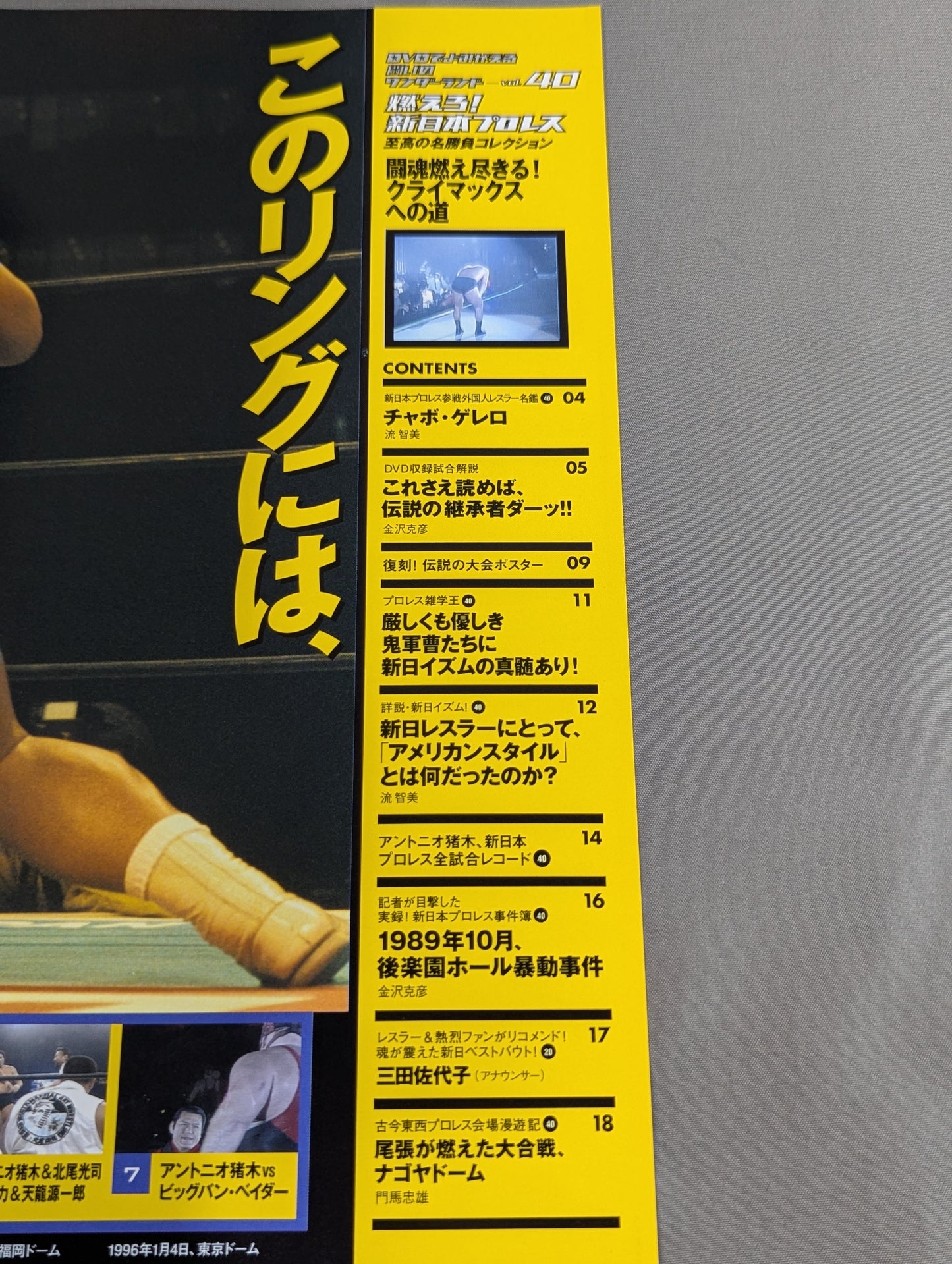 Burn! New Japan Pro Wrestling  vol.40