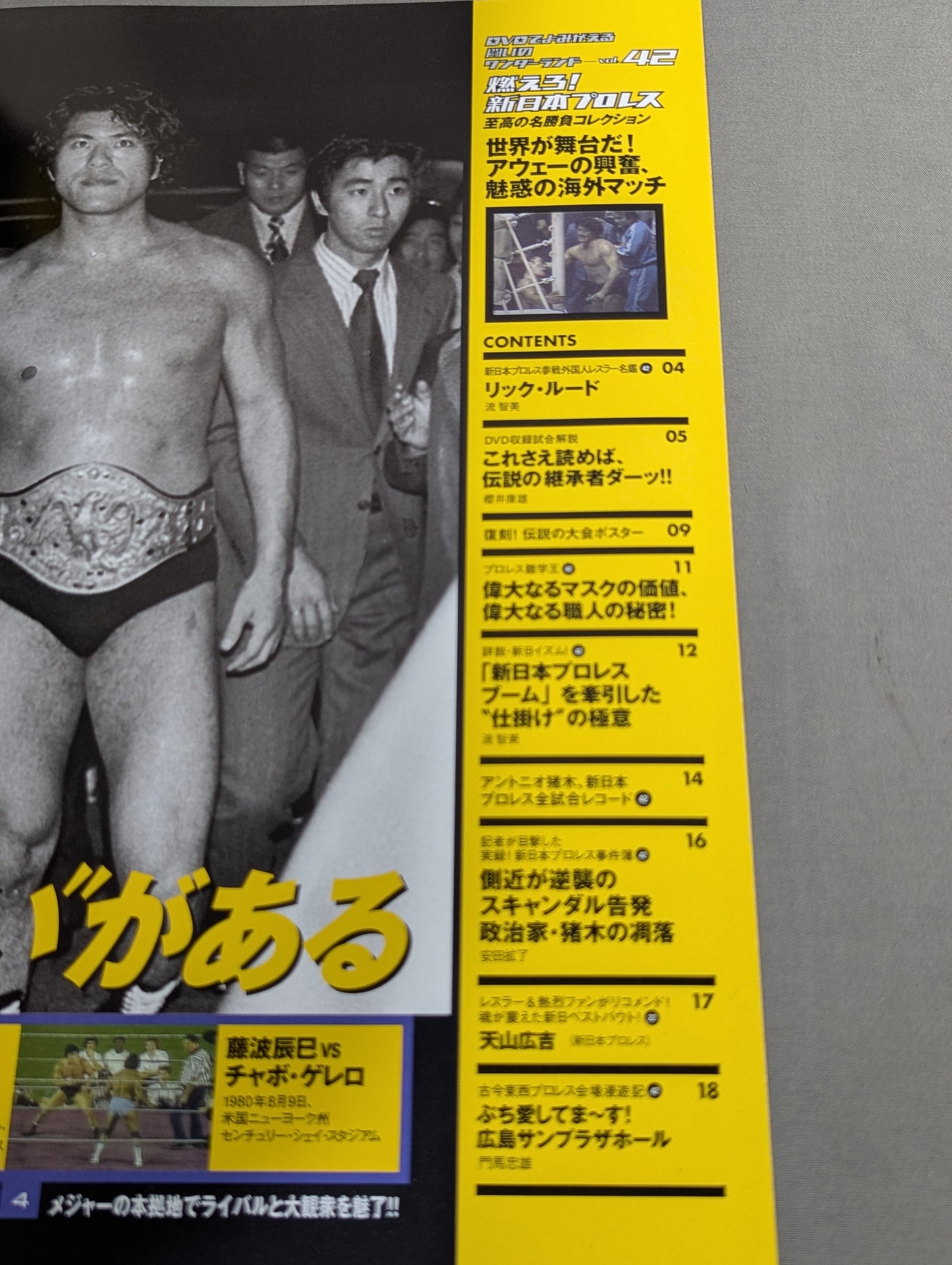 燃えろ!新日本プロレス vol.42