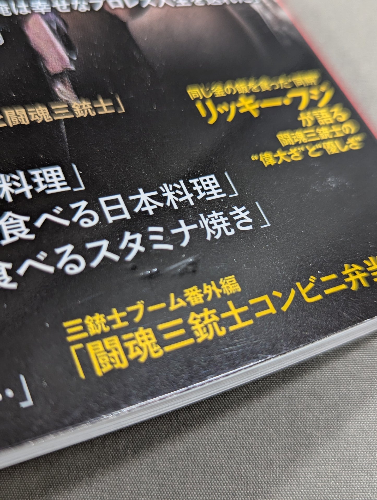 シリーズ 逆説のプロレス Vol.23 甦る黄金時代「愛と憎しみの闘魂三銃士」35年目の告白