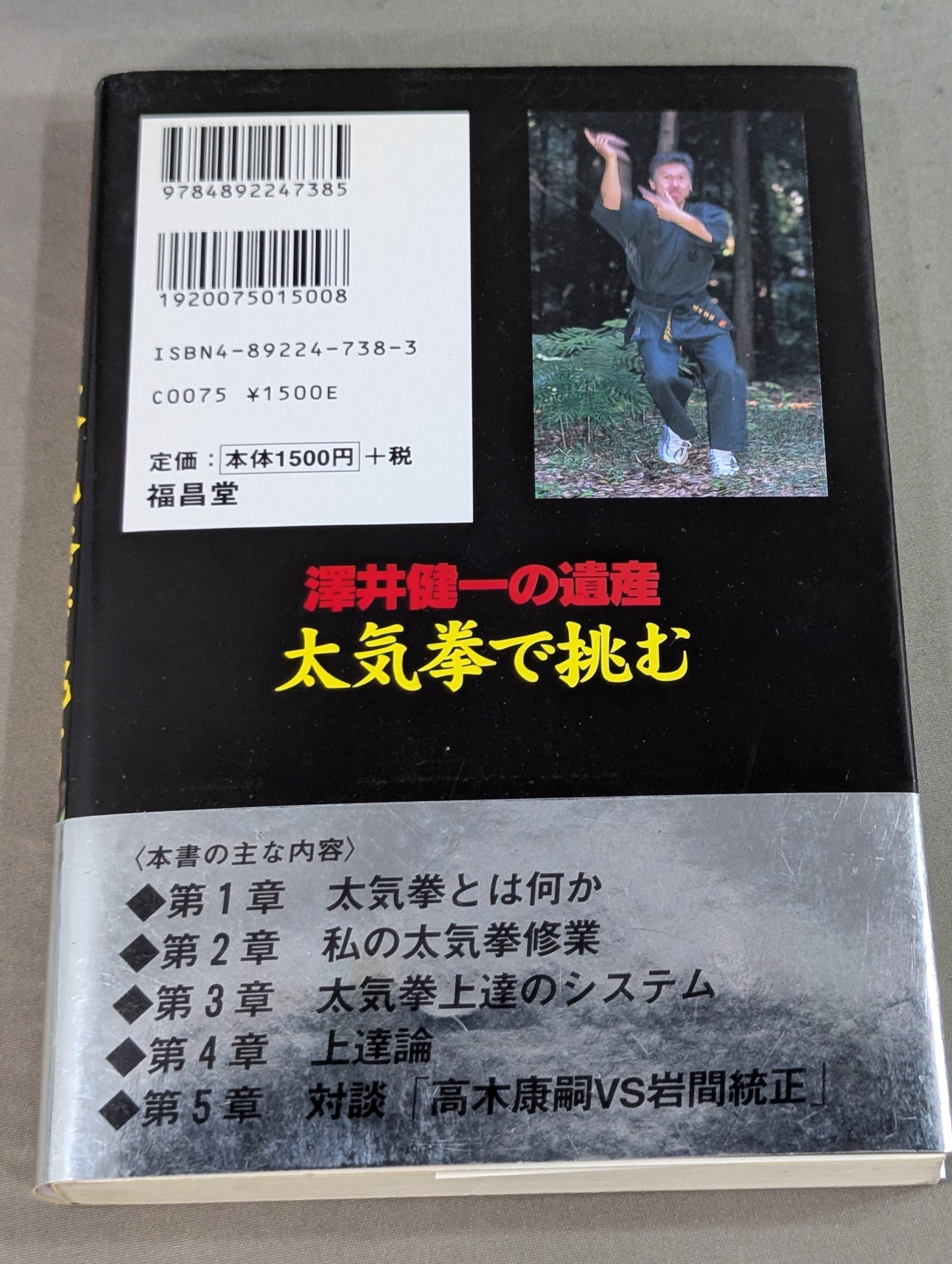 澤井健一の遺産 太気拳で挑む