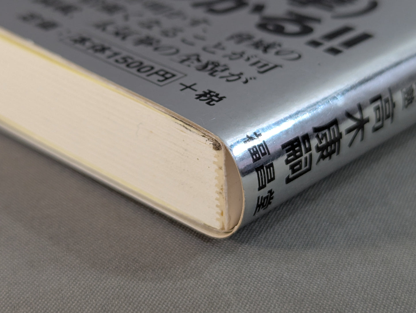 澤井健一の遺産 太気拳で挑む