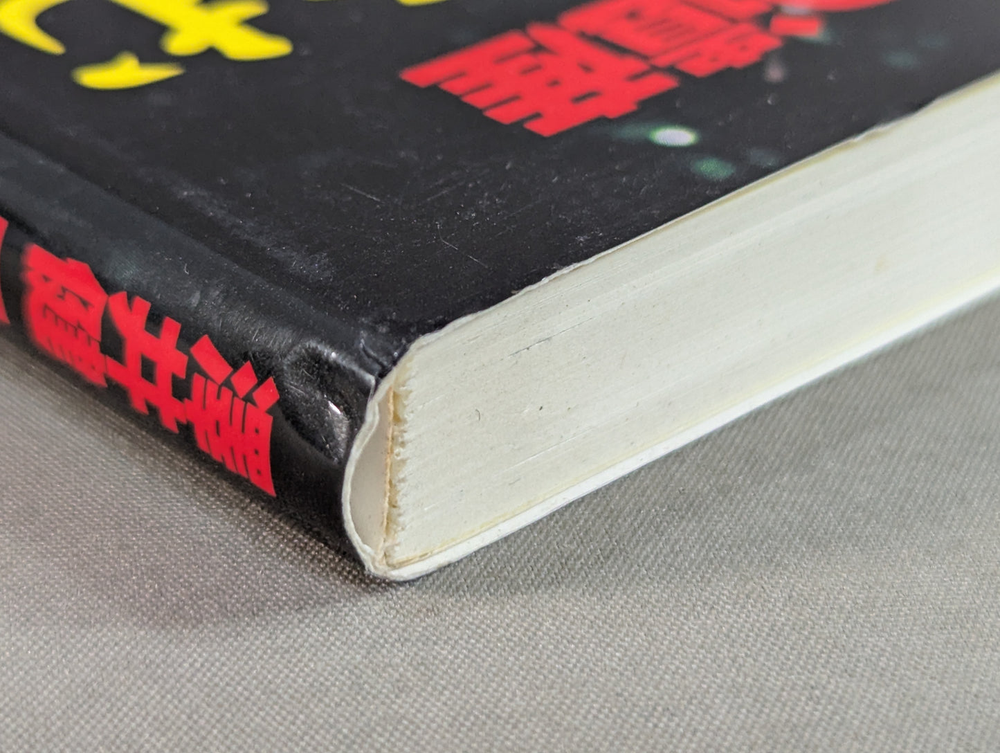 澤井健一の遺産 太気拳で挑む