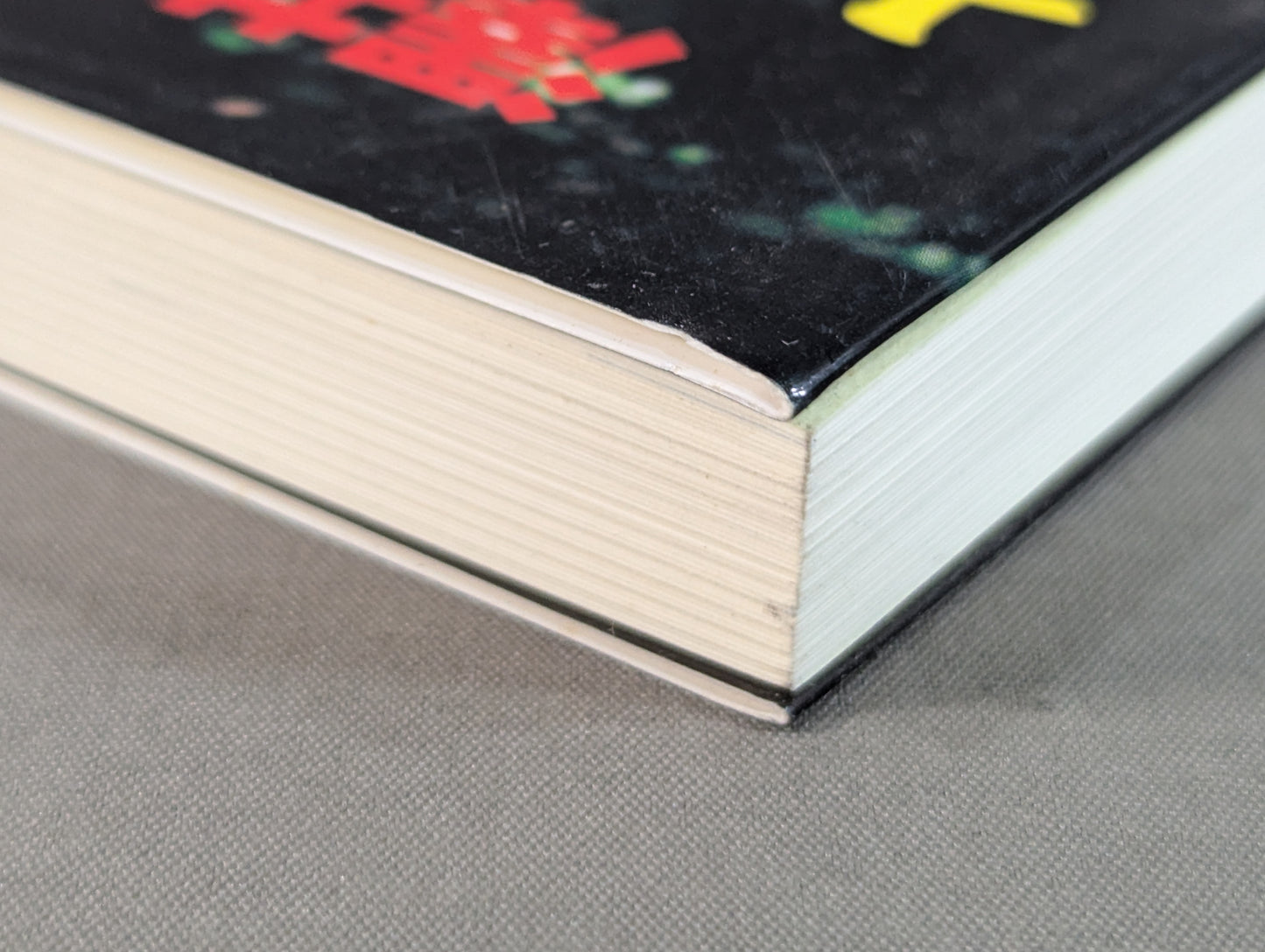 澤井健一の遺産 太気拳で挑む