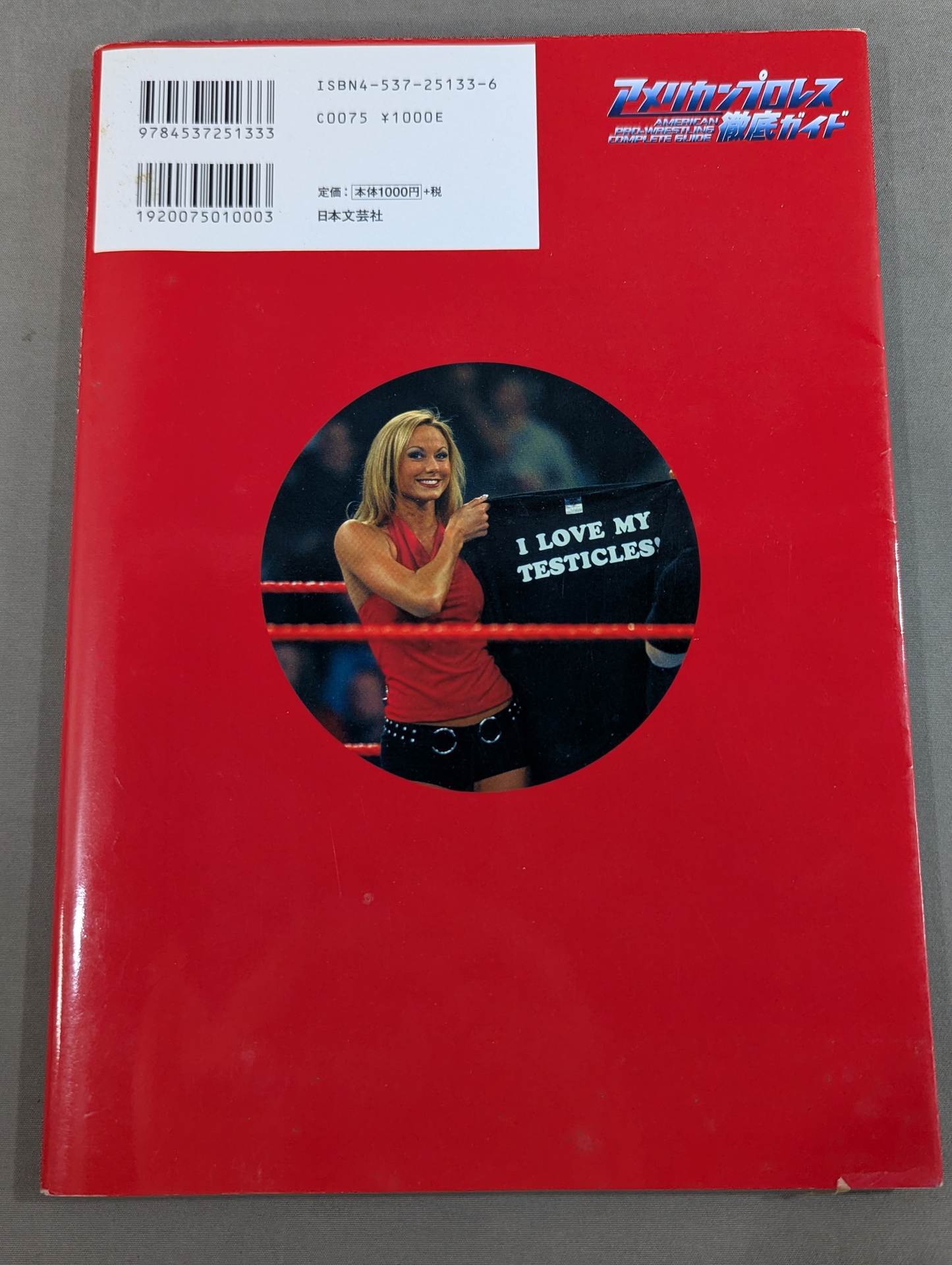 American Pro Wrestling In-Depth Guide