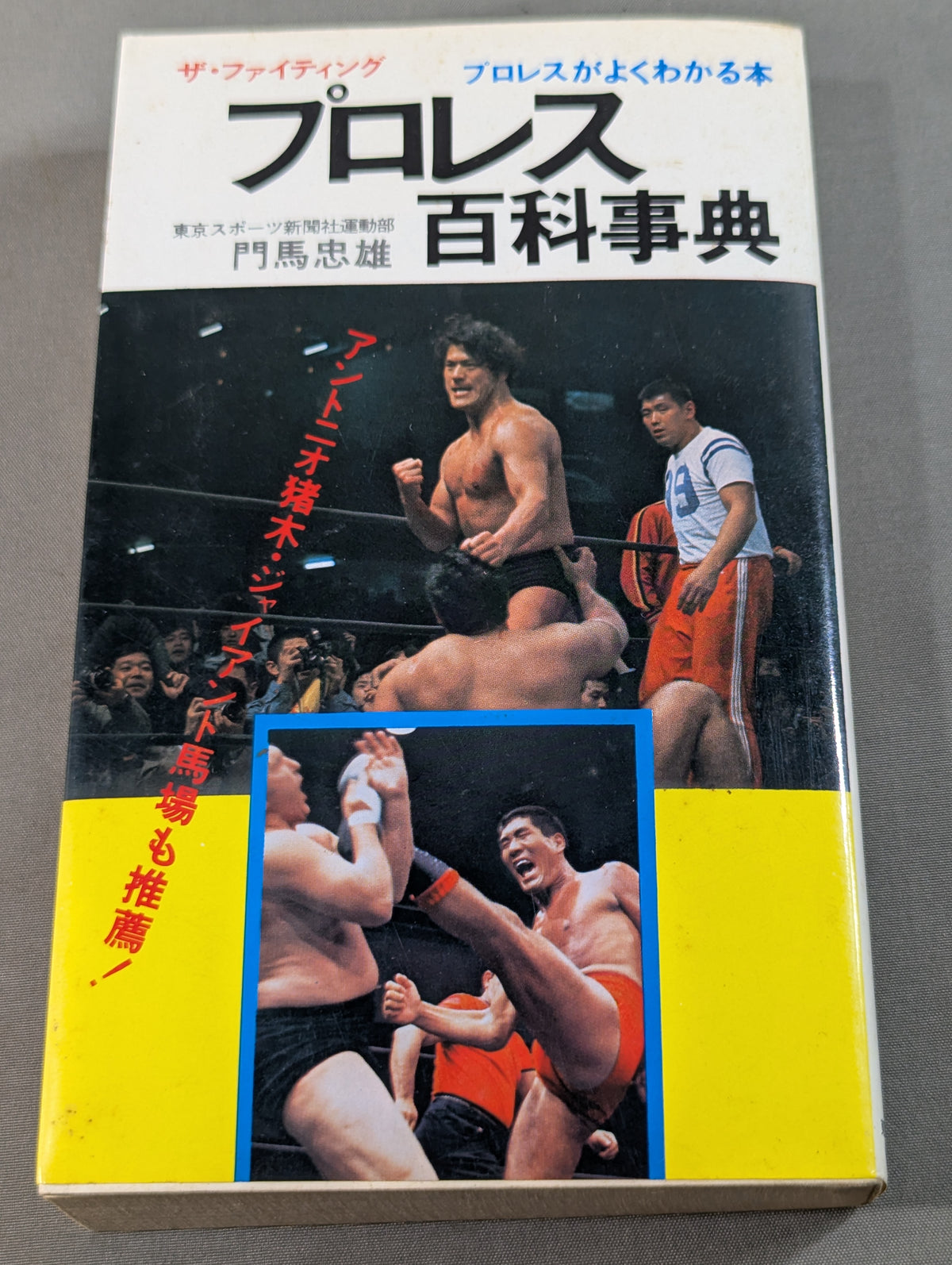 プロレス百科事典 ザ・ファイティング プロレスがよくわかる本