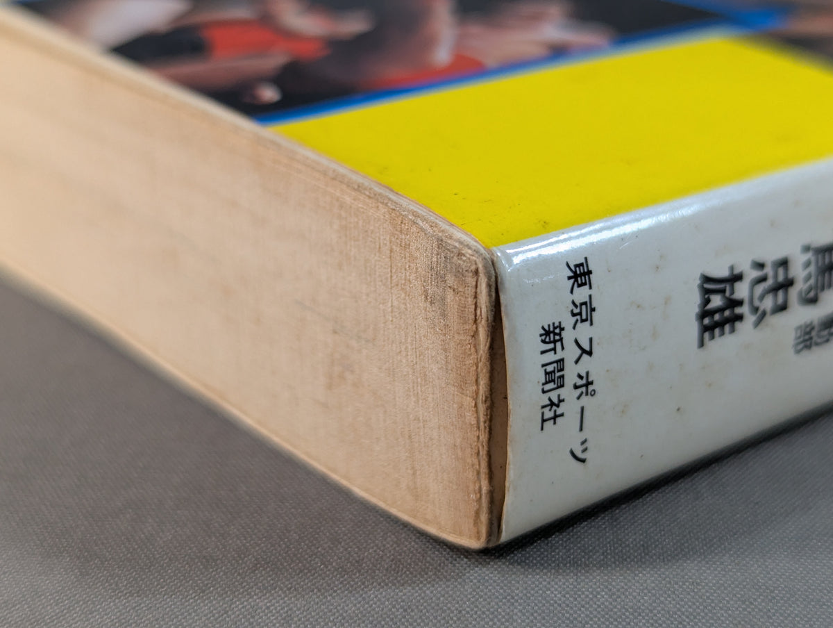 プロレス百科事典 ザ・ファイティング プロレスがよくわかる本