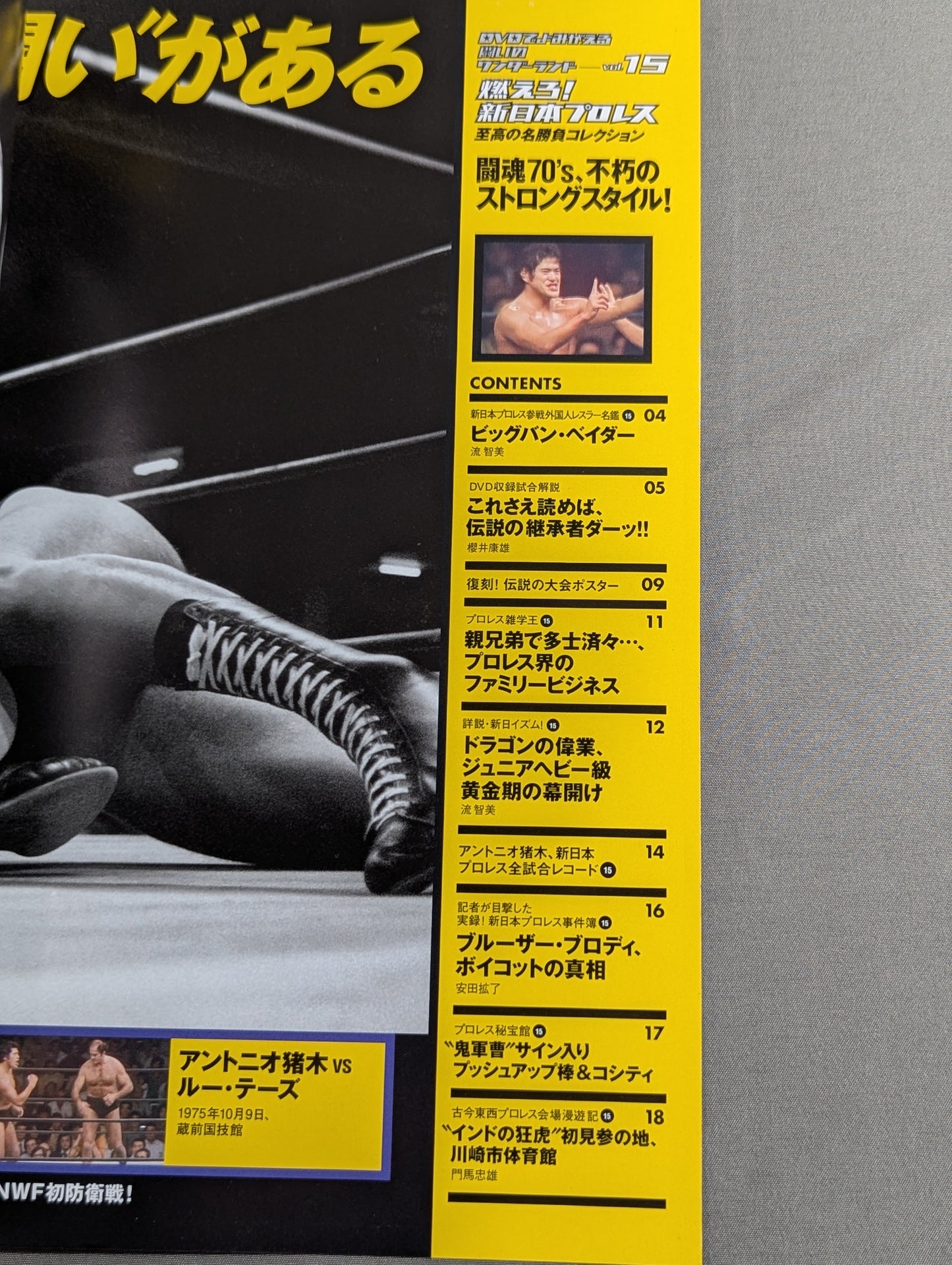 燃えろ!新日本プロレス vol.15