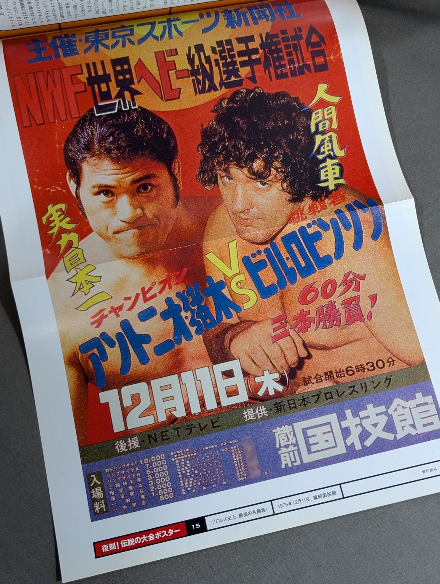 燃えろ!新日本プロレス vol.15