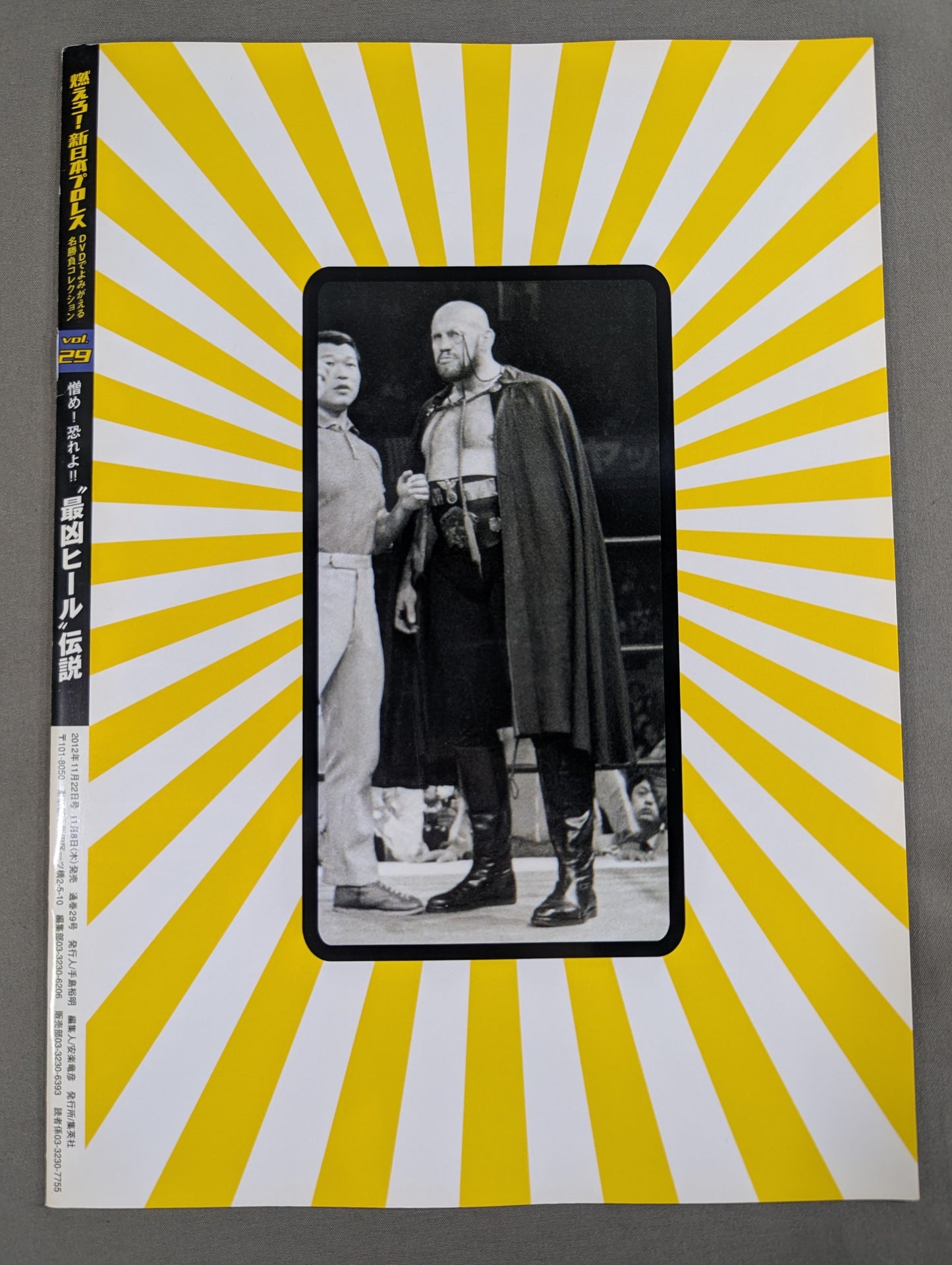 燃えろ!新日本プロレス vol.29