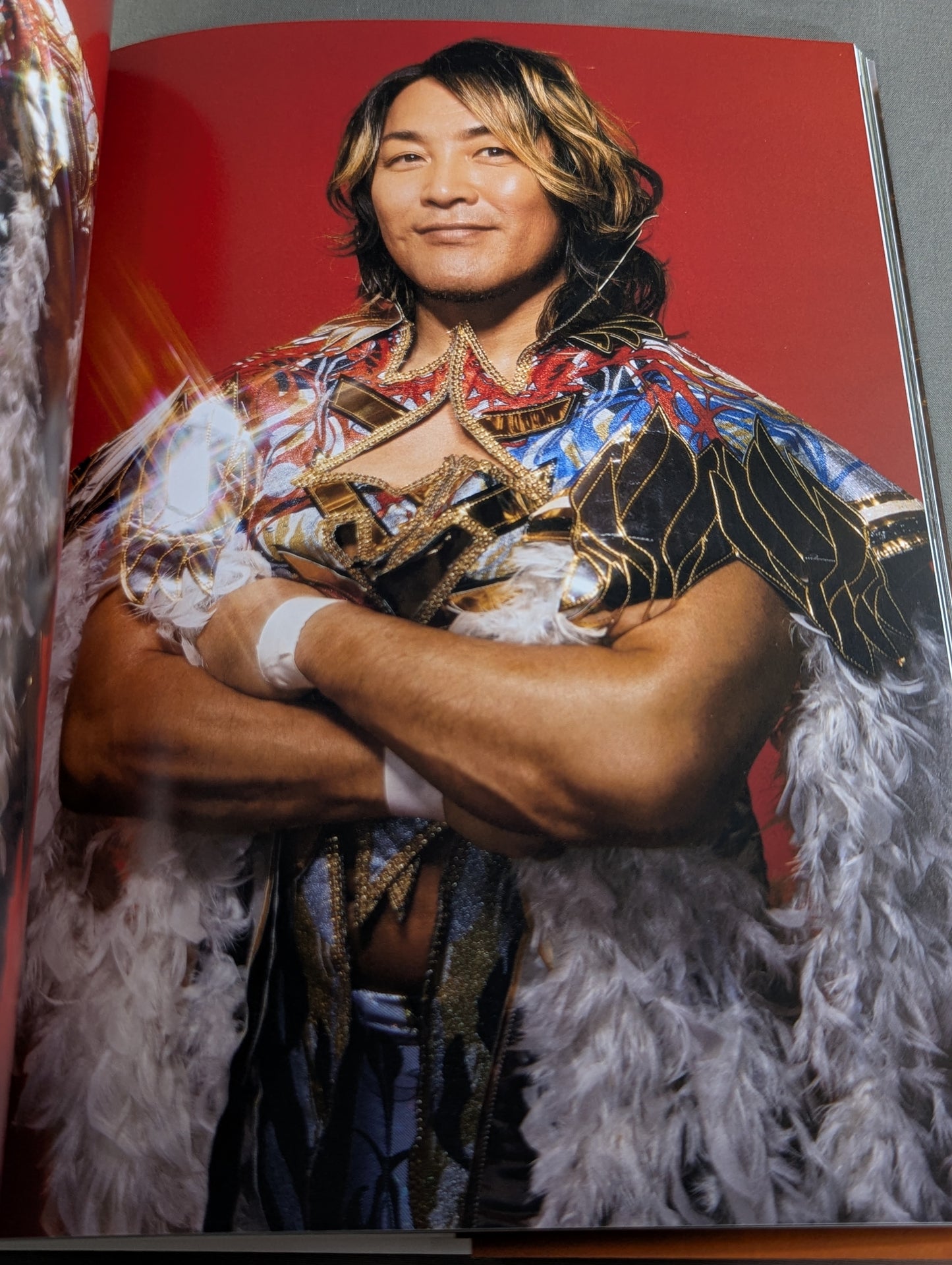 Hiroshi Tanahashi  photo  Episode ACE/100