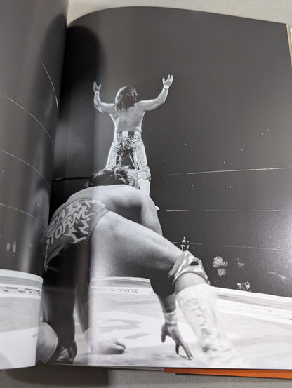 [With Bonuses] Hiroshi Tanahashi  photo  Episode ACE/100