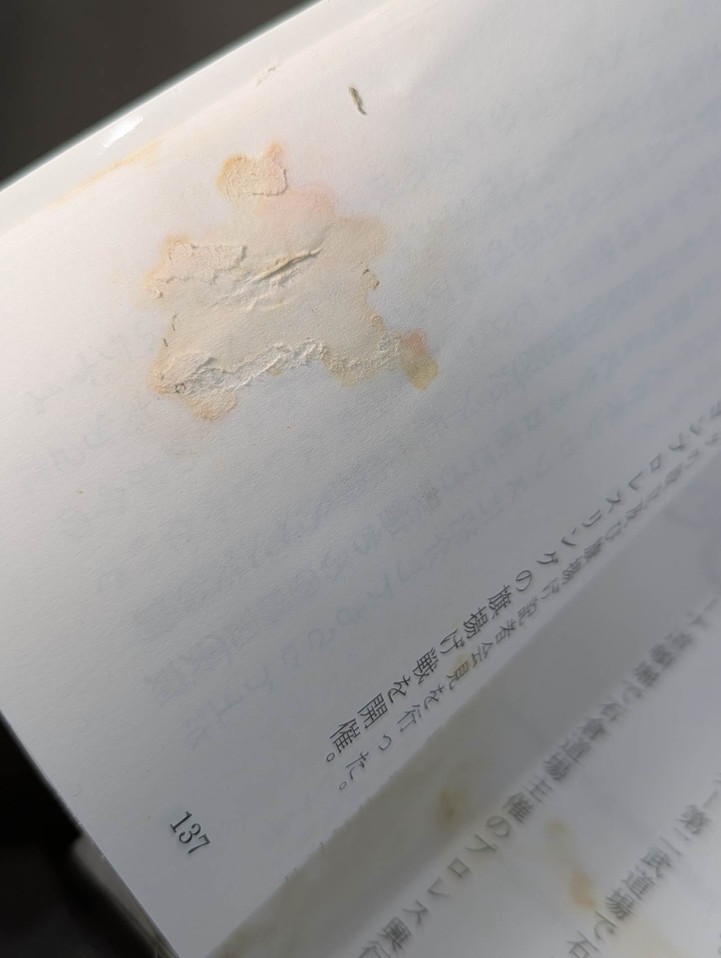 【hand signed autograph】 Life interview 3rd