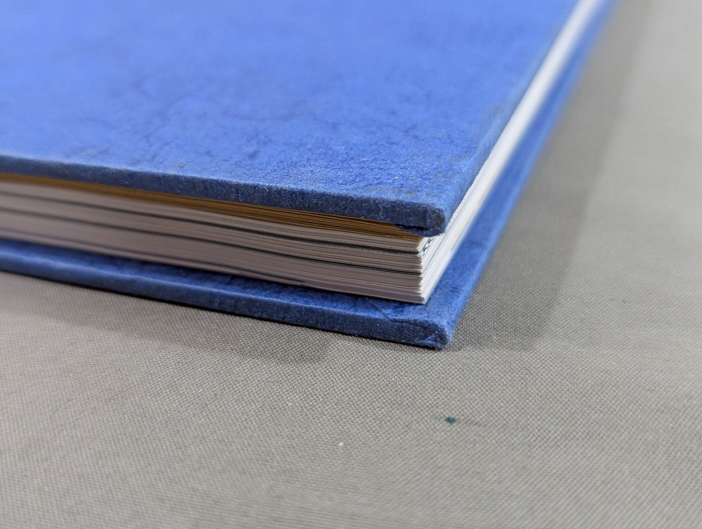 New Japan Pro Wrestling  20 Years History 20th Anniversary Collector's Edition