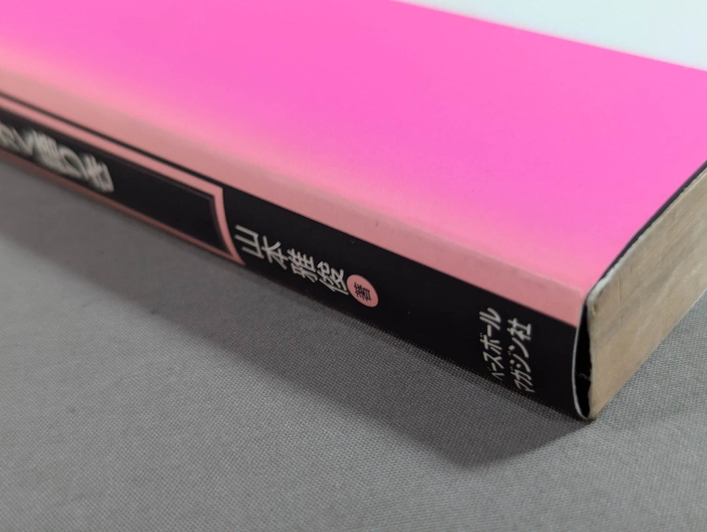 THE Pro Wrestling Book No.6 Yamamo Kaku Talking