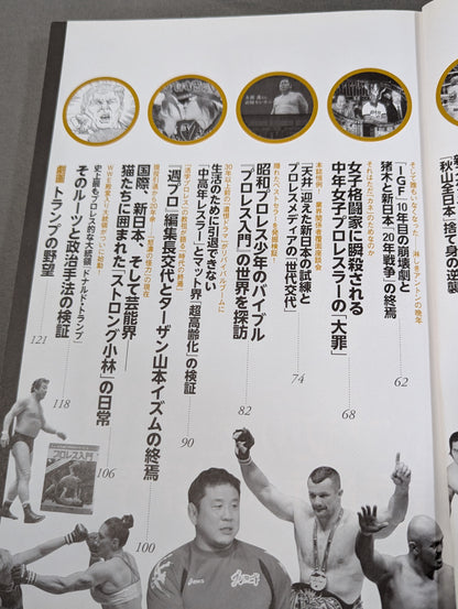 別冊宝島2543 プロレス 仮面の告白 AV界の新星が初めて語った「夜の格闘技」全貌