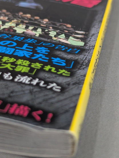 別冊宝島2543 プロレス 仮面の告白 AV界の新星が初めて語った「夜の格闘技」全貌