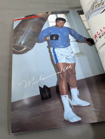 The Ultimate 100 World Famous Boxers [95 Revised Edition] From J.L Sullivan to Ricardo Lopez