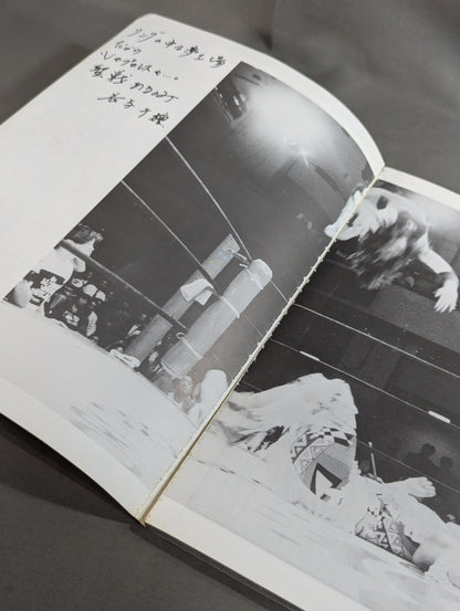 Deluxe Modern Movies All Japan Women\'s Pro Wrestling 25th Anniversary Special Issue