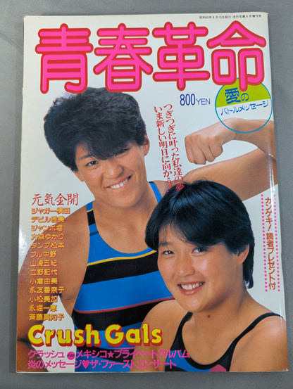 青春革命 愛のバトルメッセージ
