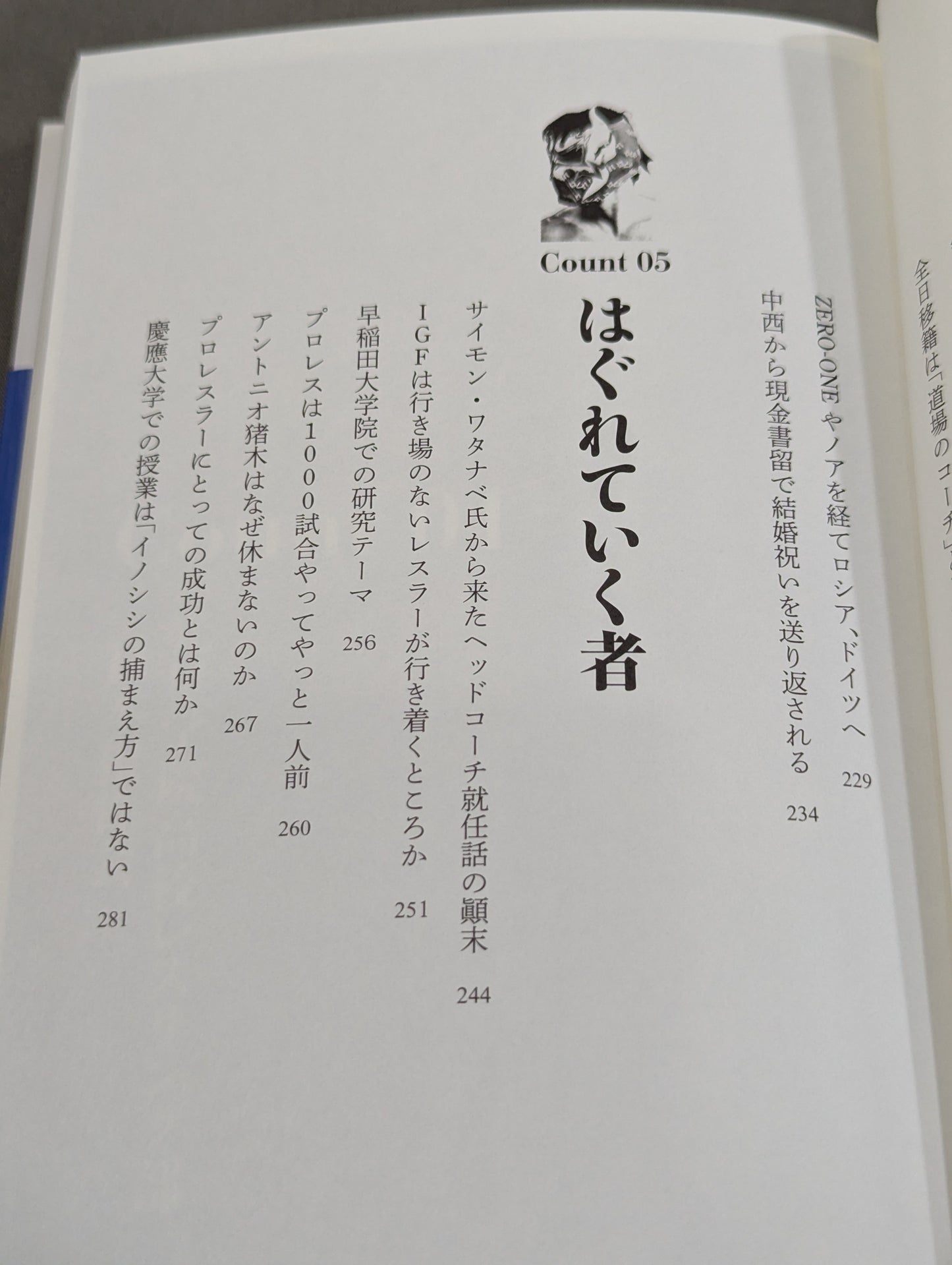 I was a pro wrestler  in Futu until I became a part-time university lecturer at KO