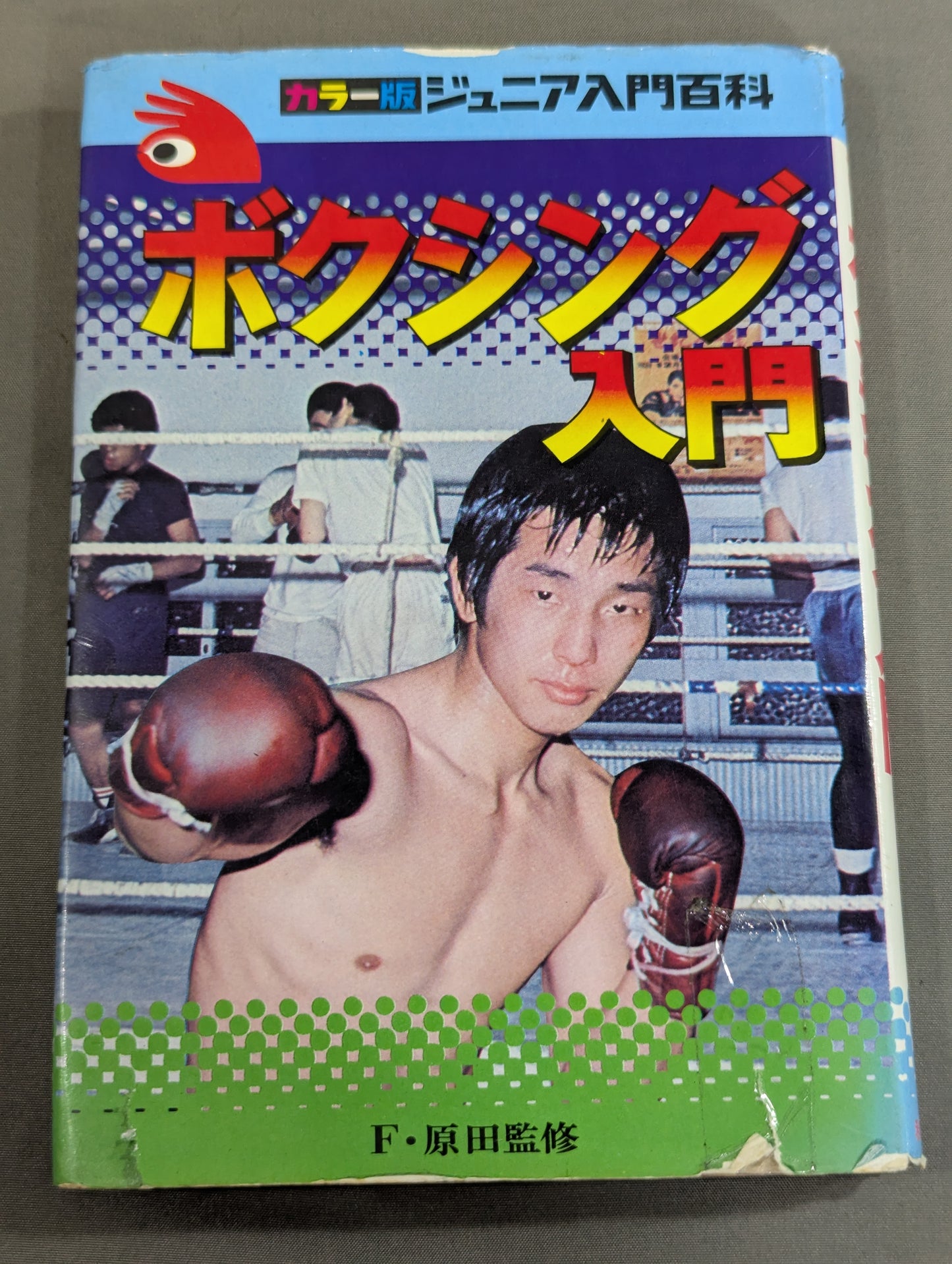 カラー版 ジュニア入門百科 ボクシング入門