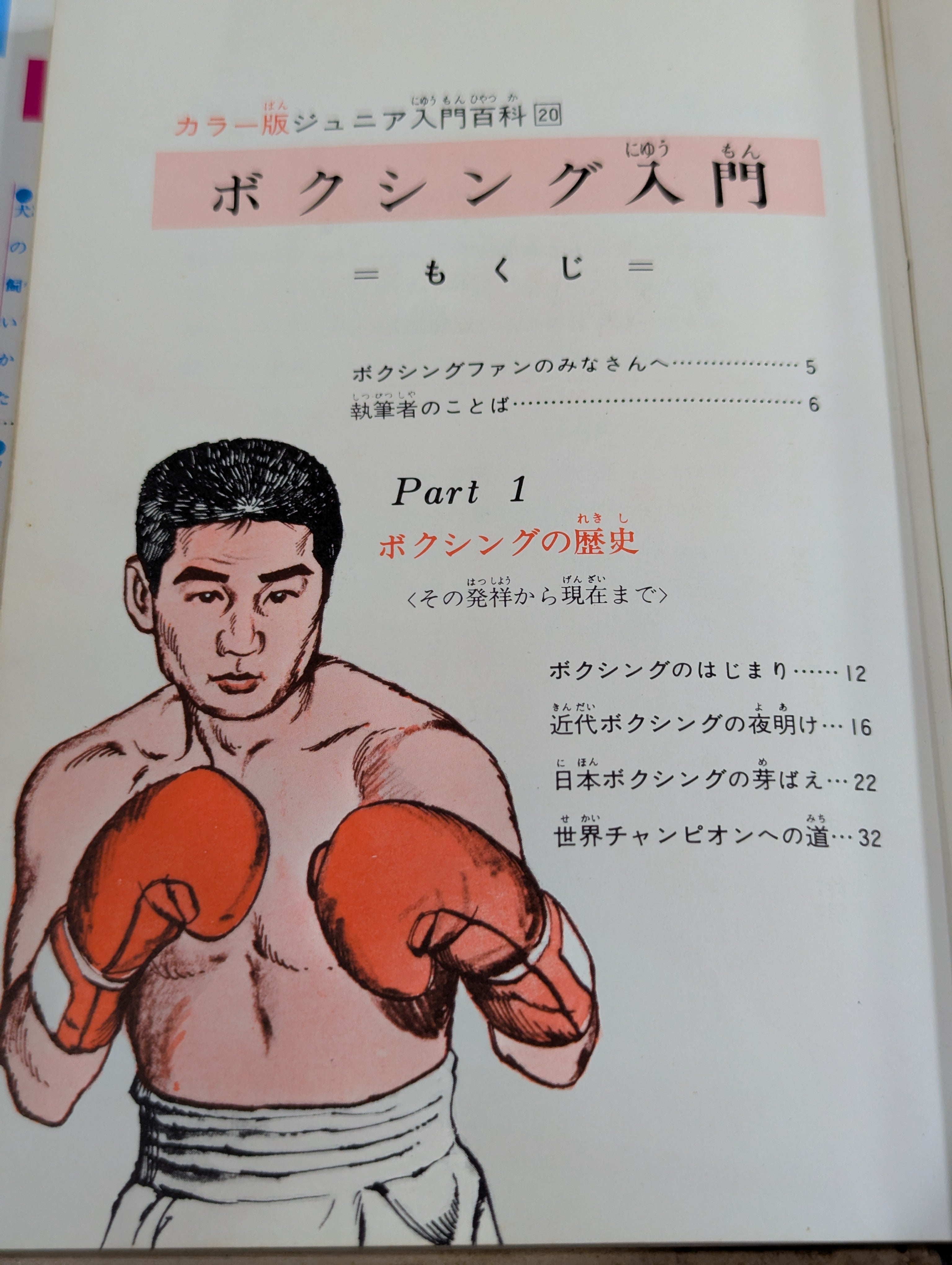 カラー版 ジュニア入門百科 ボクシング入門 – 闘道館