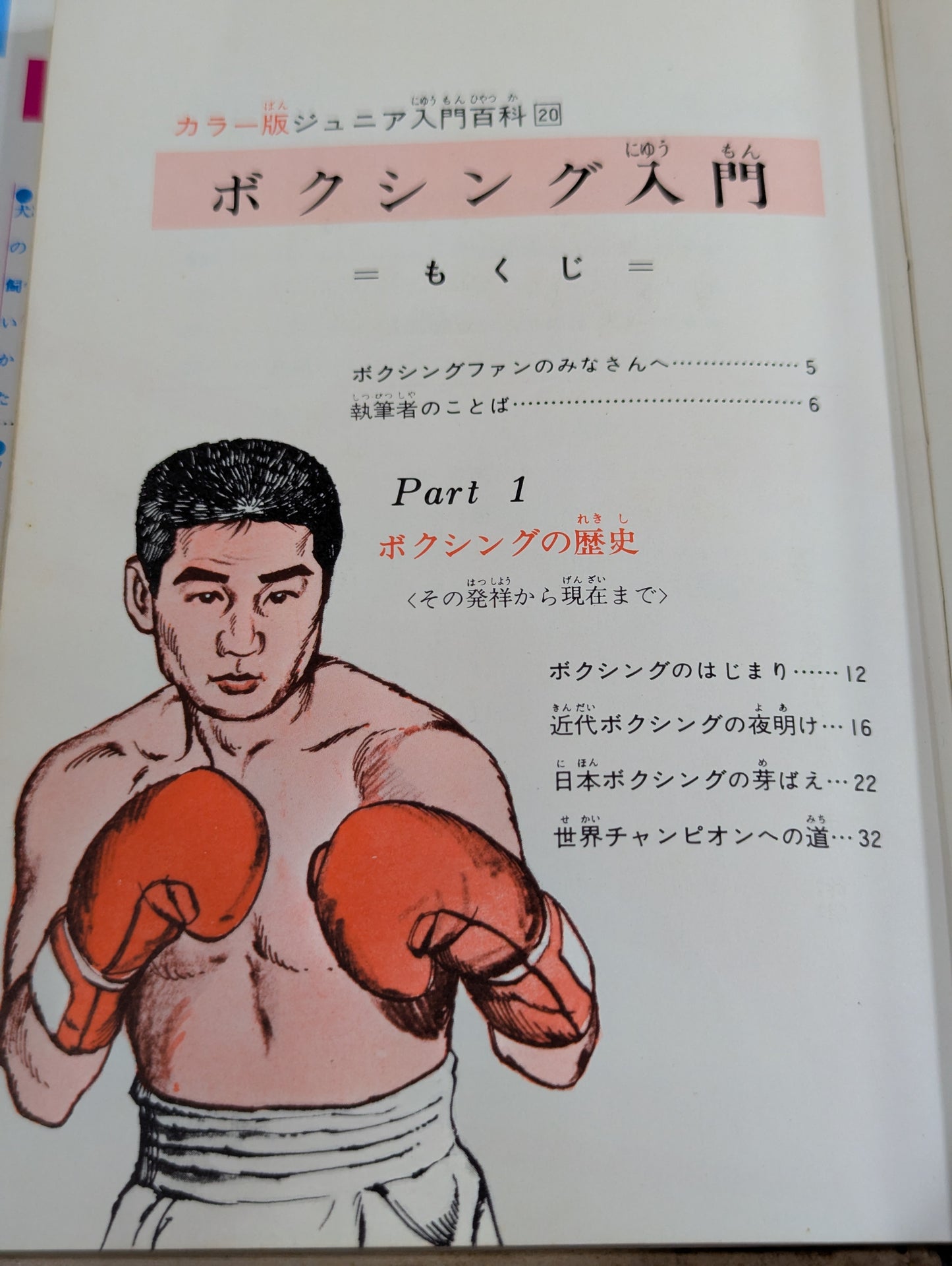 カラー版 ジュニア入門百科 ボクシング入門