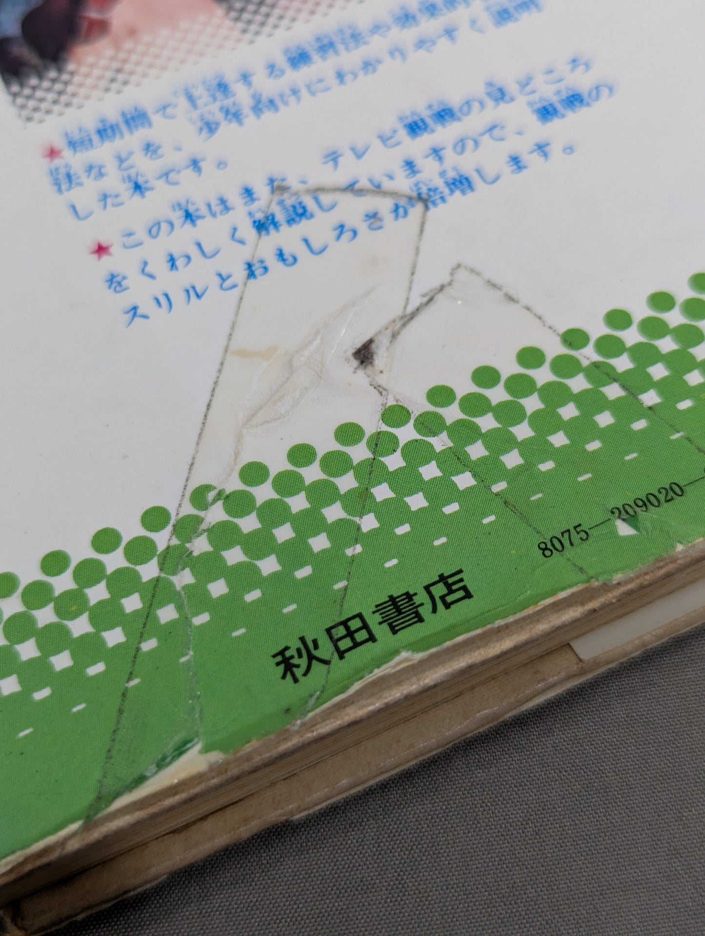 カラー版 ジュニア入門百科 ボクシング入門