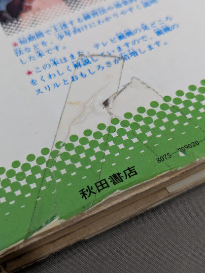 カラー版 ジュニア入門百科 ボクシング入門