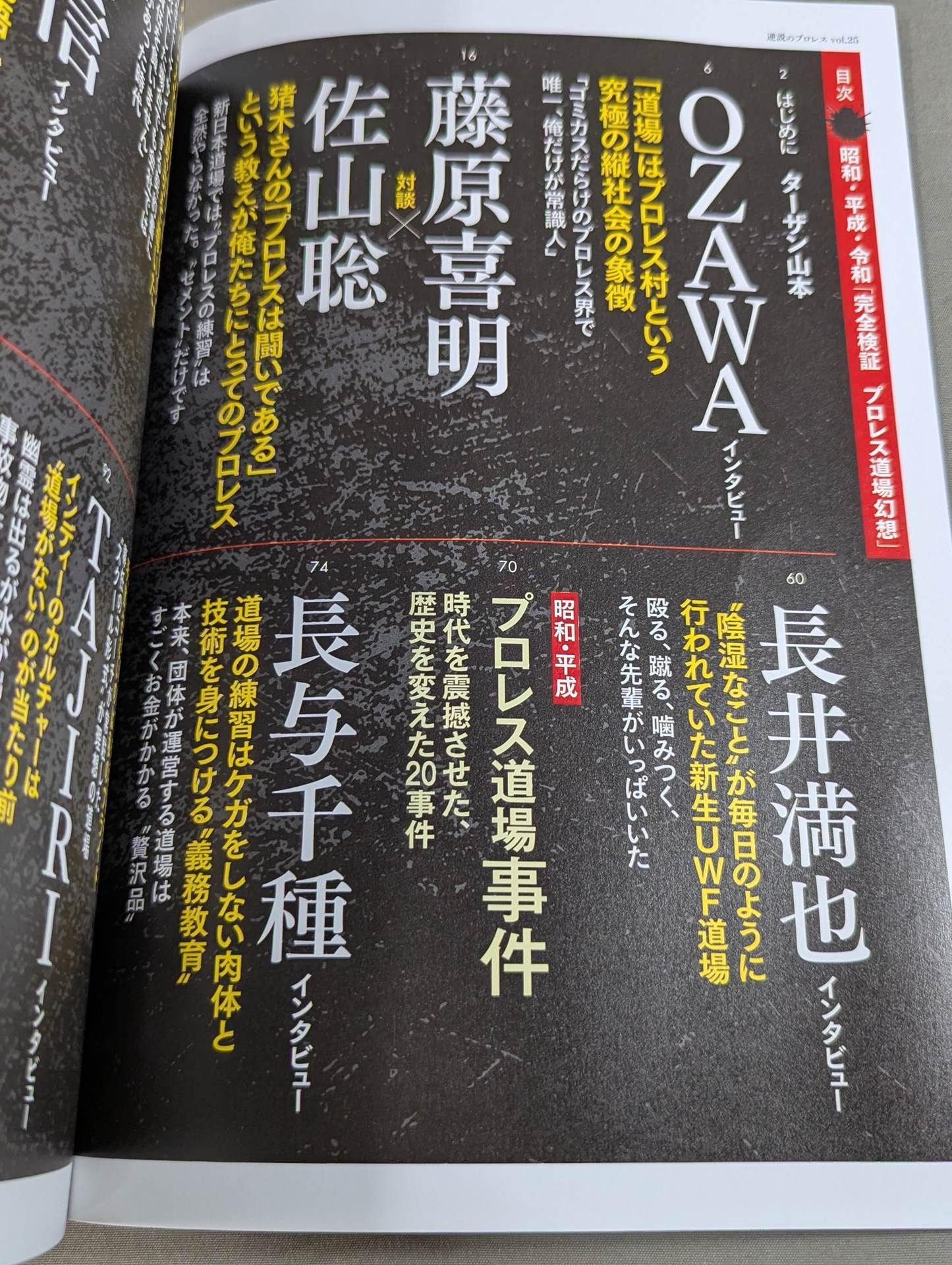 シリーズ 逆説のプロレス Vol.25 昭和 平成 令和「完全検証 プロレス