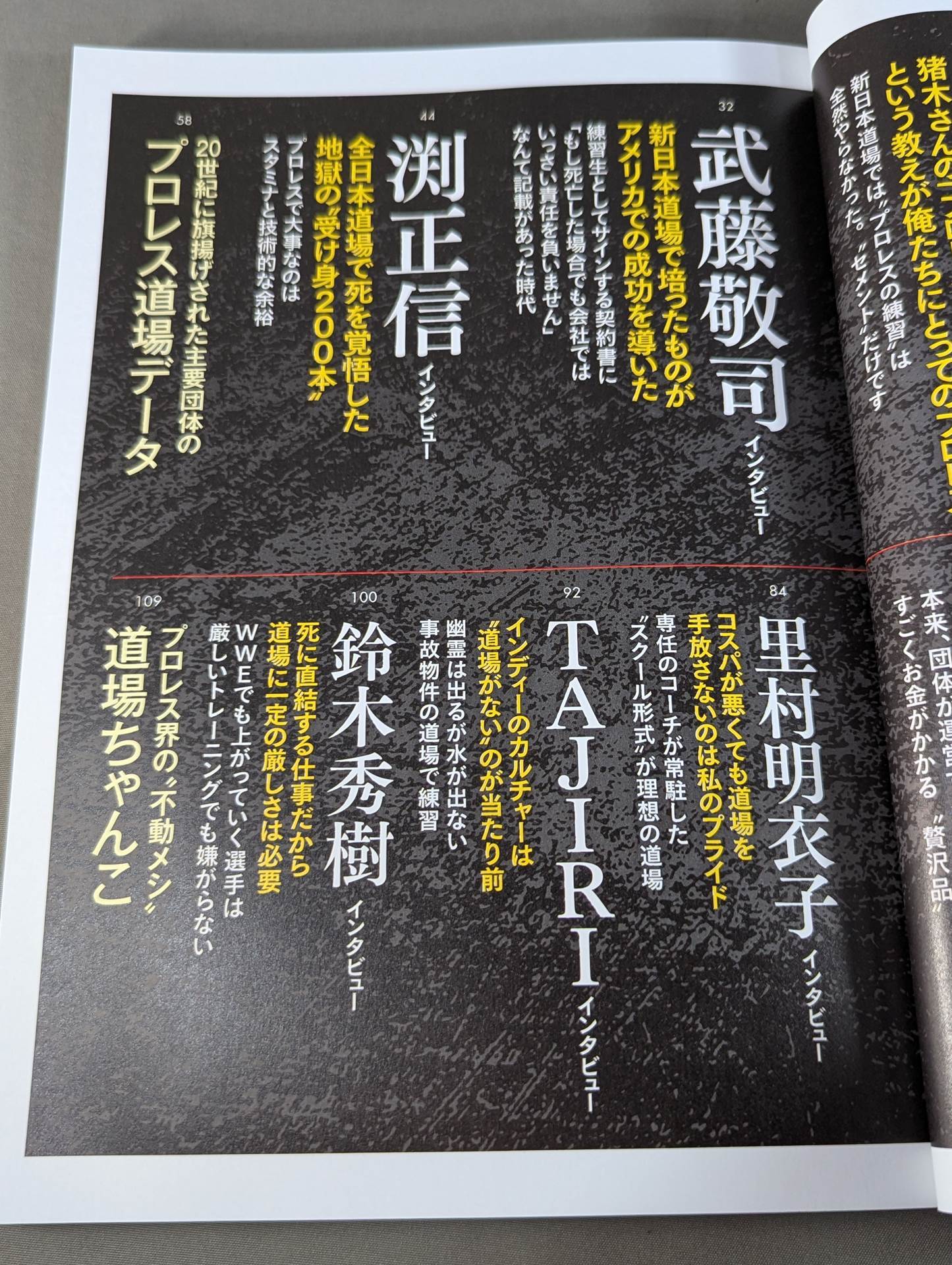 シリーズ 逆説のプロレス Vol.25 昭和 平成 令和「完全検証 プロレス
